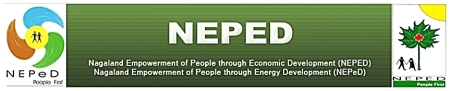 neped_banner